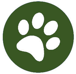 A black paw print in a green circleDescription automatically generated